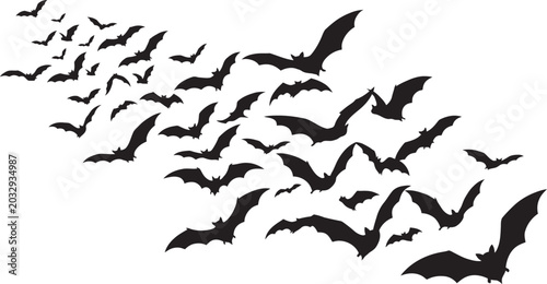 Photos A flock of bats flying in the air