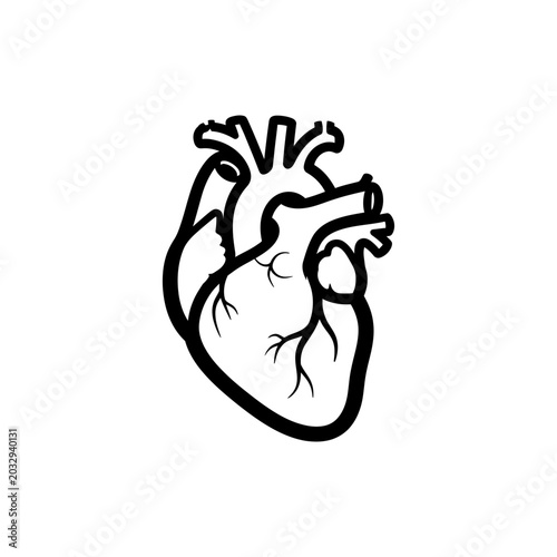 Human heart icon vector illustration medical anatomy outline style