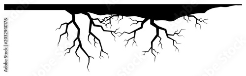 Fotografía Ground cracks with deep root fractures splitting the surface vector illustration