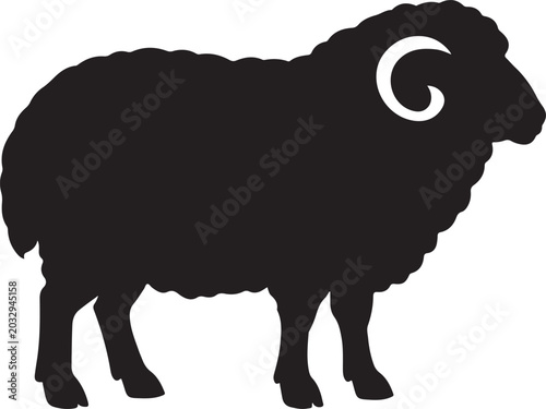 Photos sheep vector