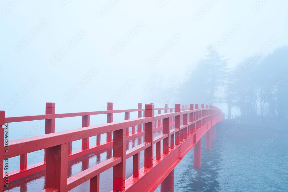 Obraz premium Goodbye, distinct world. Let us build this bridge for the unseen tomorrow waiting beyond the mist.