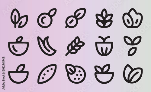 Handdrawn minimalist line icons of fruits seeds leaves and plants collection vector set