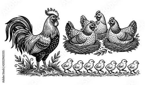 Bild auf Leinwand Vintage Rooster Hens and Baby Chicks Farm Vector Illustration