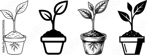 Set of four young plant illustrations showing a sprout growing from soil in different artistic styles including line art, bold icon, vintage engraving, and modern ... See More
