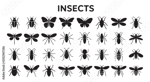 Foto Collection of diverse insect icons with simple black outlines on white background