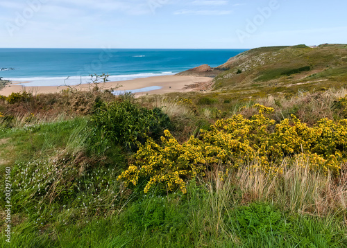 Scenic view of the rocky and flowery coast towards Cap Morgat in Brittany, France
