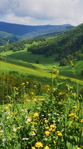 Vibrant green valley with rolling hills and distant mountains. Yellow wildflowers bloom in foreground. Soft clouds drift across sky. Serene nature scene evokes peace and tranquility