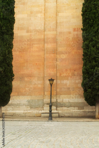 Streetlight with cypress trees on either side. Student graffiti symbols called Vitors can be seen on the stone wall. Salamanca, Spain