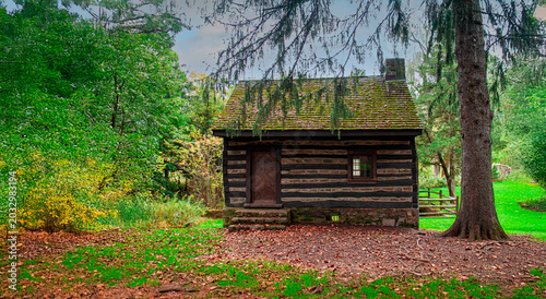 pioneer cabin