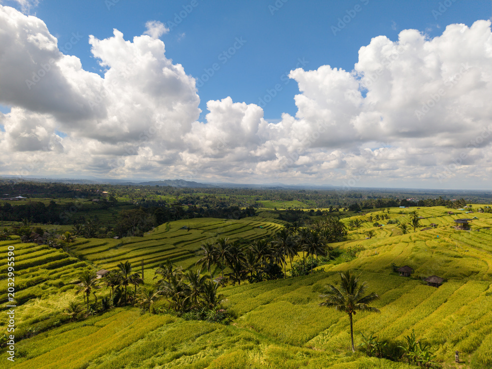 Obraz premium Aerial View of Jatiluwih Rice Terraces under Blue Sky in Bali