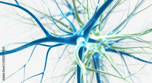 Tableau sur toile Neuron cell with dendrites and axon.