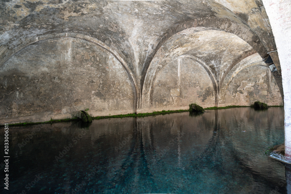 Obraz premium Fontebranda fountain in Siena, Italy