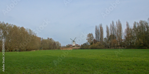 Принти на полотні Green meadow with bare willows and poplars and an old windmill in Vinderhoutse b