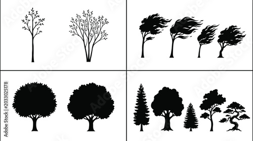 Schilderij op canvas WebTree silhouette collection with windswept canopies, coniferous evergreens, ro