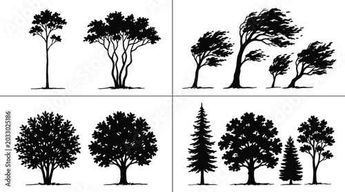 Konstfotografi WebTree silhouette collection with windswept canopies, sparse young trees, round