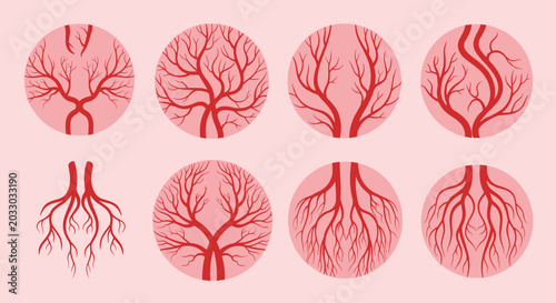 Series of circular diagrams illustrating branching vascular systems or intricate tree root patterns on a light pink background.