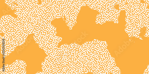 Bilde på lerret Modern reaction diffusion simulation with stylized geometric landforms dynamic b