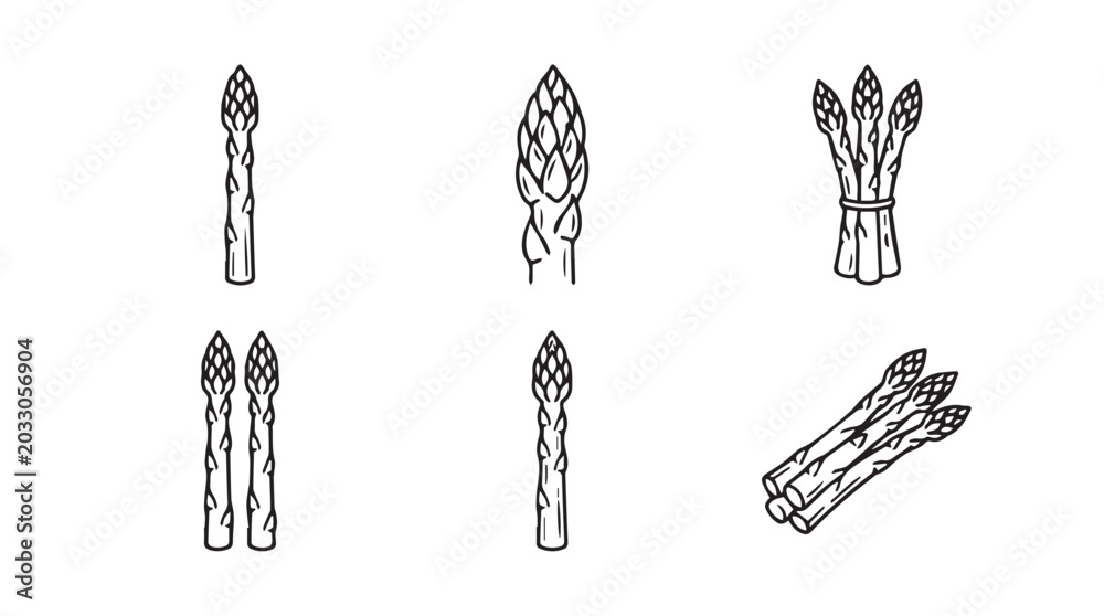 Naklejka premium Variety of asparagus illustrations in simple line drawing style with asparagus vegetable culinary ingredient nutrition seasonal superfood vegetarian vitamins agriculture cultivation