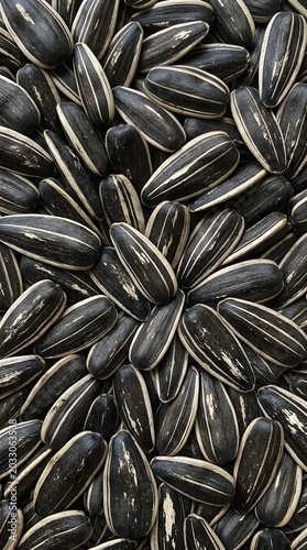 Abundance of roasted sunflower seeds with striped shells as a healthy crunchy snack background