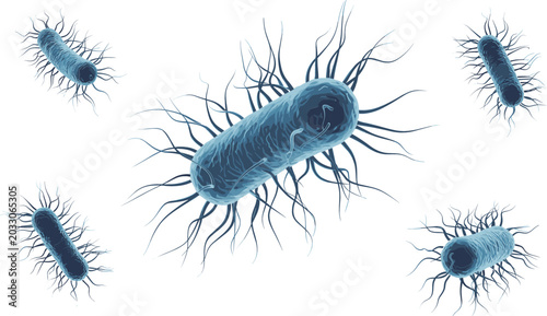 Photos Microscopic view of bacteria cells with flagella like salmonella or e coli isola