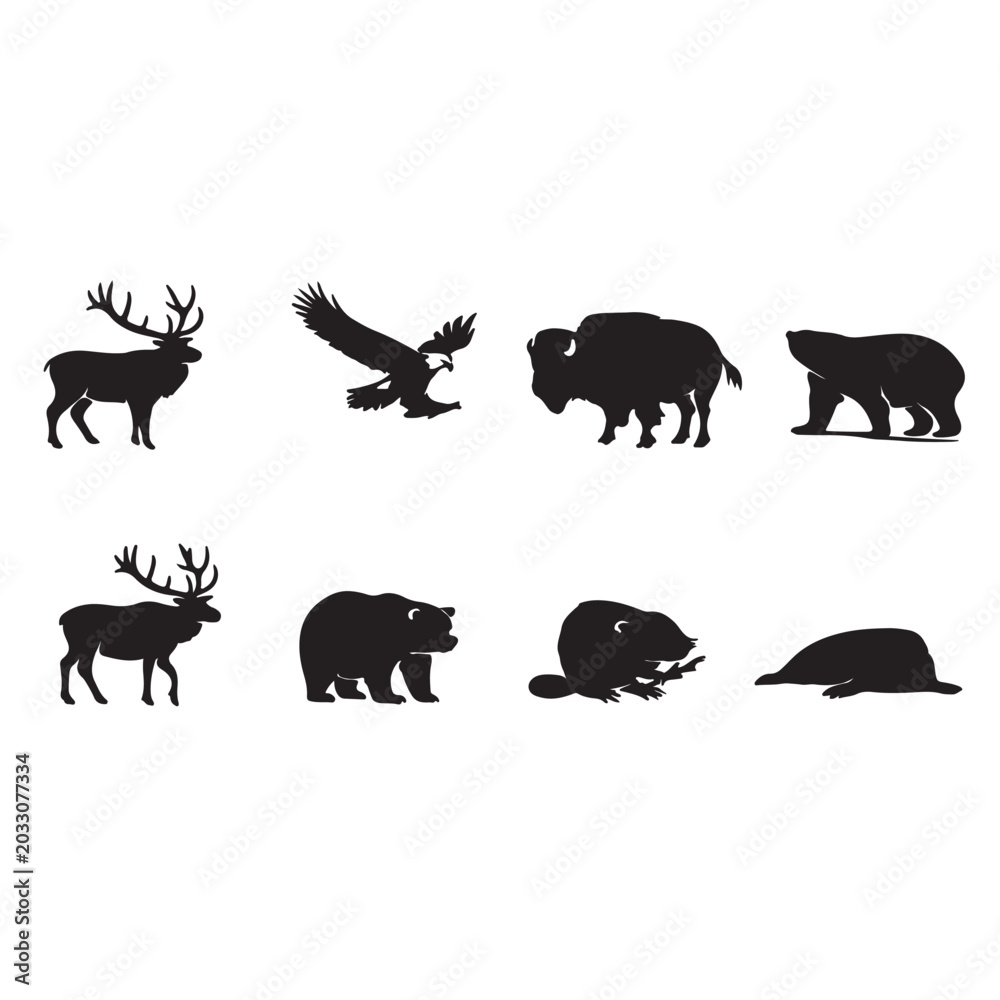 Fototapeta premium PrintShadows of the Wild