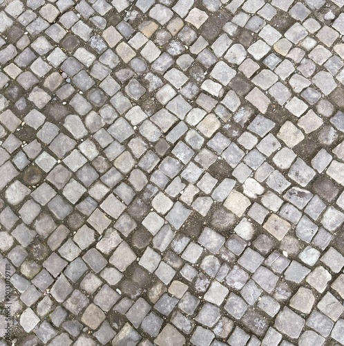 Cobblestone Textured Path Ground