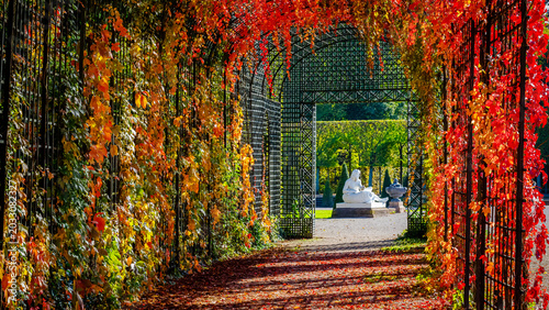 Fotografie Colorful leaves cover a garden path leading to a statue in the distance on a sun