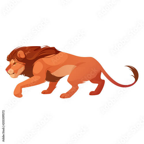 Photography Lion walking slowly with a confident and relaxed stride.