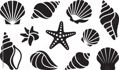 Photos Black and white seashells and starfish vector illustration