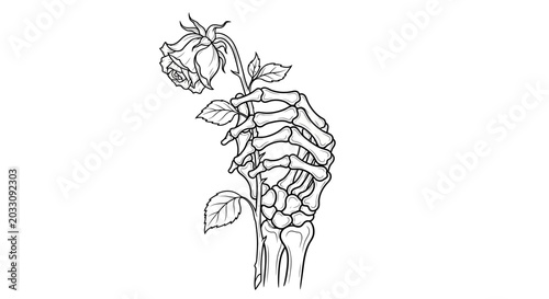 Tableau sur toile A detailed line art illustration of a skeletal hand holding a single rose