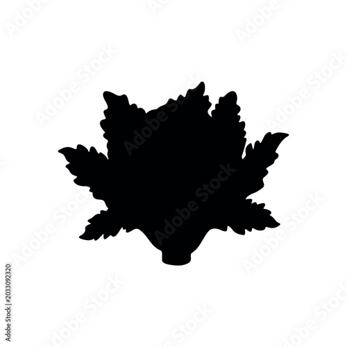 Cauliflower vegetable silhouette icon vector illustration on white background