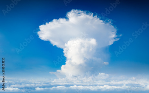 Photography Large cumulus cloud rises into blue sky