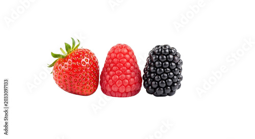 Fresh berries comparison: strawberry, raspberry, and blackberry side-by-side fruit