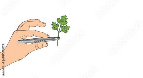 Bild auf Leinwand A hand holding a small green plant sprig with metal tweezers.