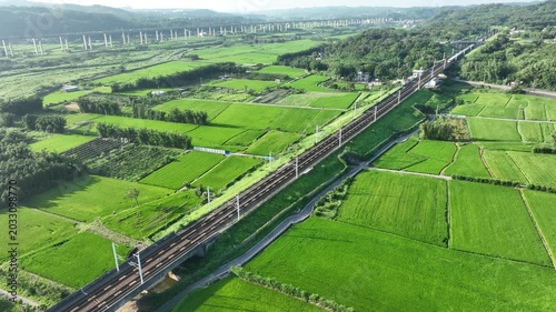 High speed train passing through green rice fields.