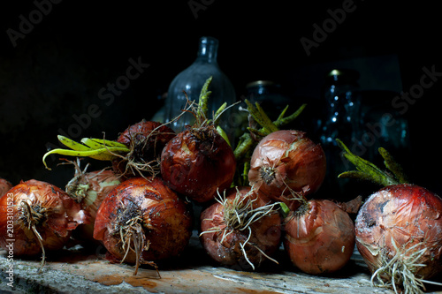 Onions with heavy infestation of Aspergillus niger, a fungal disease that is most often the result of improper storage in warm, humid conditions.