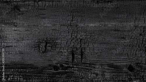 Obraz na płótnie Blackened wood surface shows detailed texture and char from fire, suggesting a r
