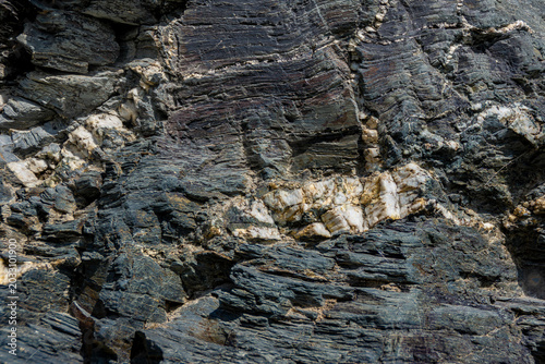 Cuadro en lienzo Complex folded and faulted layered rock formation with white mineral veins showi