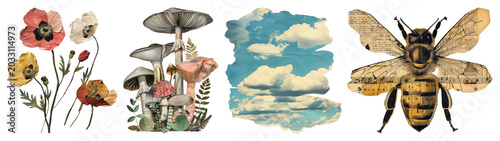 PNG Vintage nature collage elements on transparent background