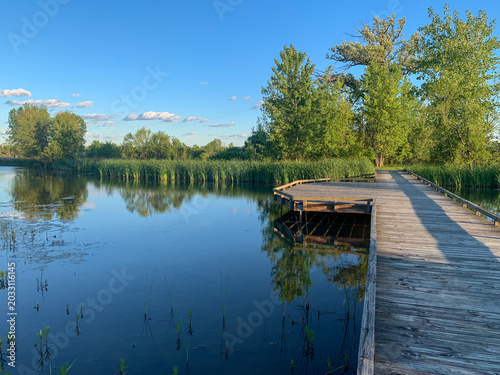 Obraz na plátně Boardwalk wooden nature path, wetlands marsh water at Glacier Ridge Metro Park Columbus Ohio
