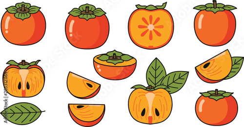 Fresh Persimmon Vector Illustration Set with Whole Fruits Halves Slices Seeds and Green Leaves for Food Design
