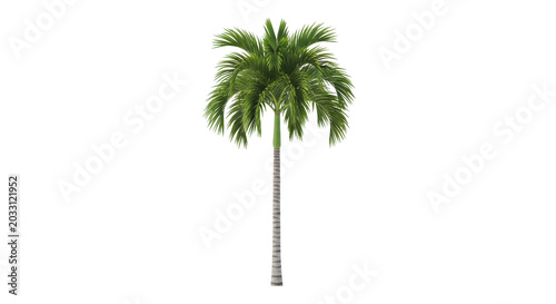 Foto Minimalist black and white palm tree with geometric negative space