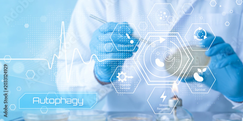 Konstfotografi Scientist researching autophagy process with futuristic medical technology and c