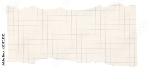 Graph ripped torn checkered cardboard paper background. Vintage collage scrapbook journal piece, magazine, newspaper.