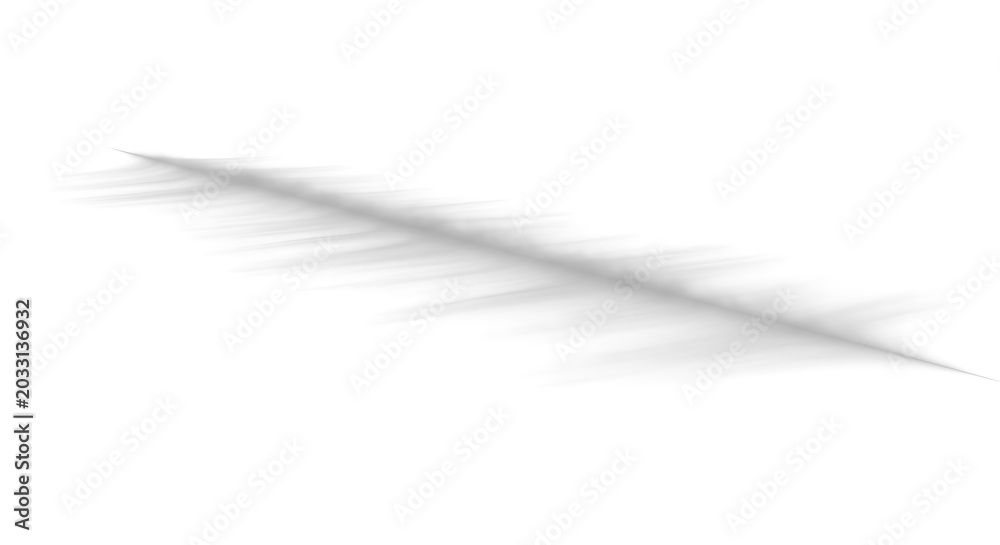 Fototapeta premium Gray feather on white background.