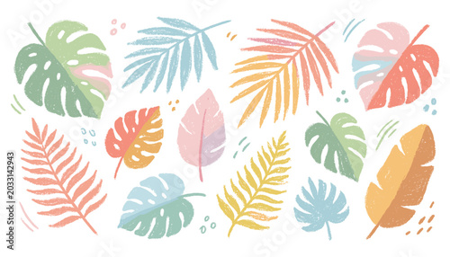 Set of various hand drawn tropical leaves in chalk pastel style on transparent background vector file.