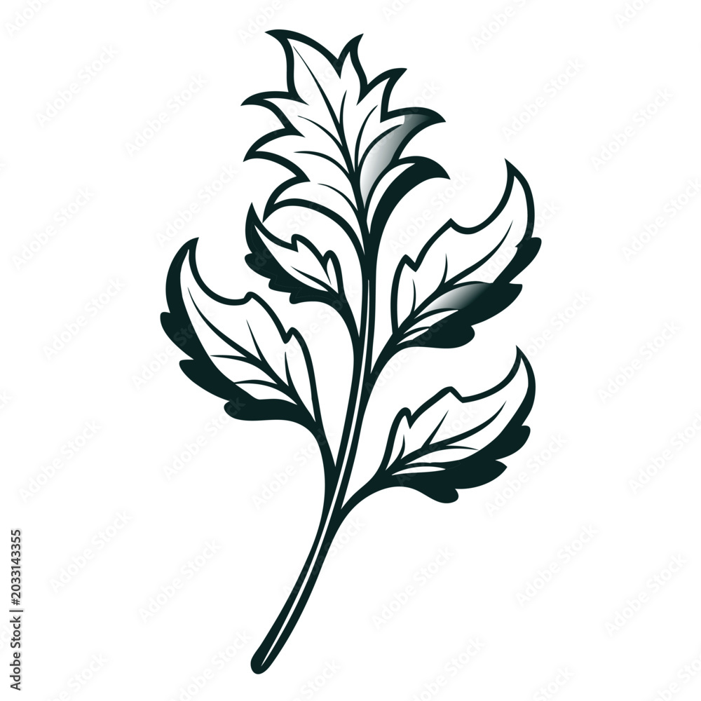 Ταπετσαρία acanthus mollis flower line art with branch on white background