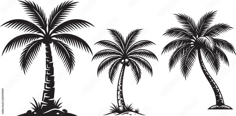 Obraz premium palm tree silhouette