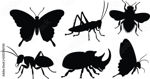 Foto Insect silhouette collection with butterfly beetle ant grasshopper and fly vecto