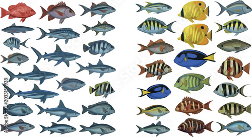 Foto Tropical Sea Fish and Shark Species Vector Illustration Collection Set with Colo